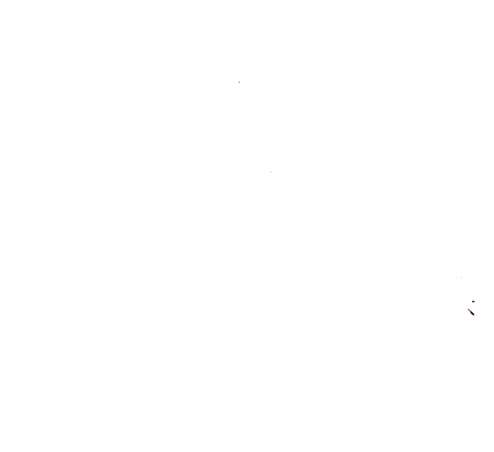 Machu Picchu Shamans Logo